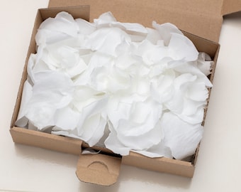 konservierte weiße Rosenblätter, weiße Blütenblätter für Hochzeitskonfetti, Rosenblätter, umweltfreundlich, Rosenblattkonfetti, natürliches Hochzeitskonfetti,