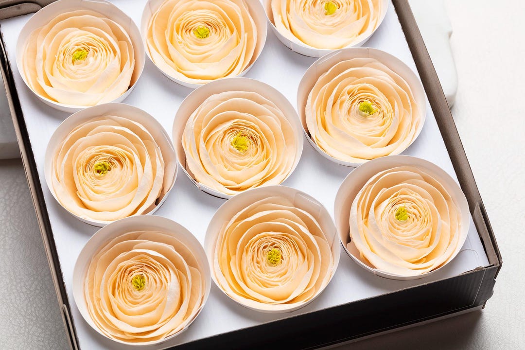 Orange Ranunculus Preserved Flowers, Wedding Decor, Home Decor, - Etsy