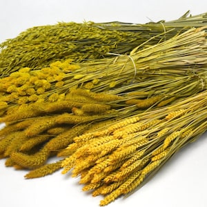 Dried Flowers, flower DIY Mix, DIY set, Flower Box, DIY Dried Flower Bouquet Yellow Mix,pampas grass, lagurus, phalaris, Creative Projects,