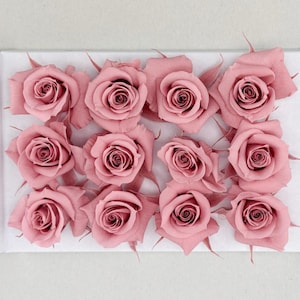 Puede incluir: Una docena de rosas color rubor dispuestas en un patrón cuadrado. Las rosas tienen múltiples pétalos y un centro oscuro. El arreglo está sobre una superficie blanca, creando una estética suave y romántica. Ideal para regalos o decoración del hogar.