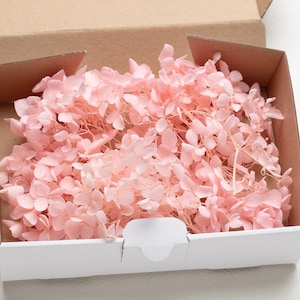 Könnte beinhalten: Eine weiße Box gefüllt mit getrockneten rosa Hortensienblüten. Die Blüten sind zart und haben eine weiche, pastellfarbene Farbe.