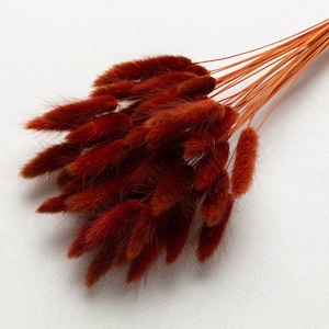 Bunny Tails, autumn color, Dried Lagurus, Dried Grass, Rabbit Tails, Decor, Bouquet, Natural Fluff, Gift, Home Decor, Dried Flowers, Boho