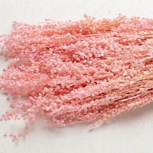 Può includere: Un mazzo di fiori rosa secchi con piccoli boccioli rotondi e steli sottili. I fiori sono di un colore rosa tenue e smorzato, e gli steli sono marrone chiaro. L'arrangiamento è probabilmente utilizzato per l'arredamento della casa o l'artigianato.