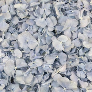 Bruiloft blauwe hortensia confetti, blauwe hortensia bloemblaadjes, bloem confetti, biologisch afbreekbaar, tafeldecoratie, confetti bloemblaadjes, gooien,