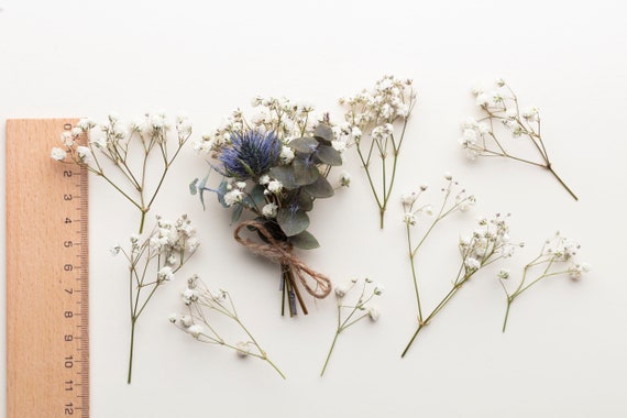 Preserved White Dried Gypsophila Baby's Breath Flowers 