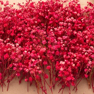 Baby breath, pink dried-preserved gypsophila, 1 box mini real stems, natural baby's breath, baby breath, baby breath, dry wedding bouquet.