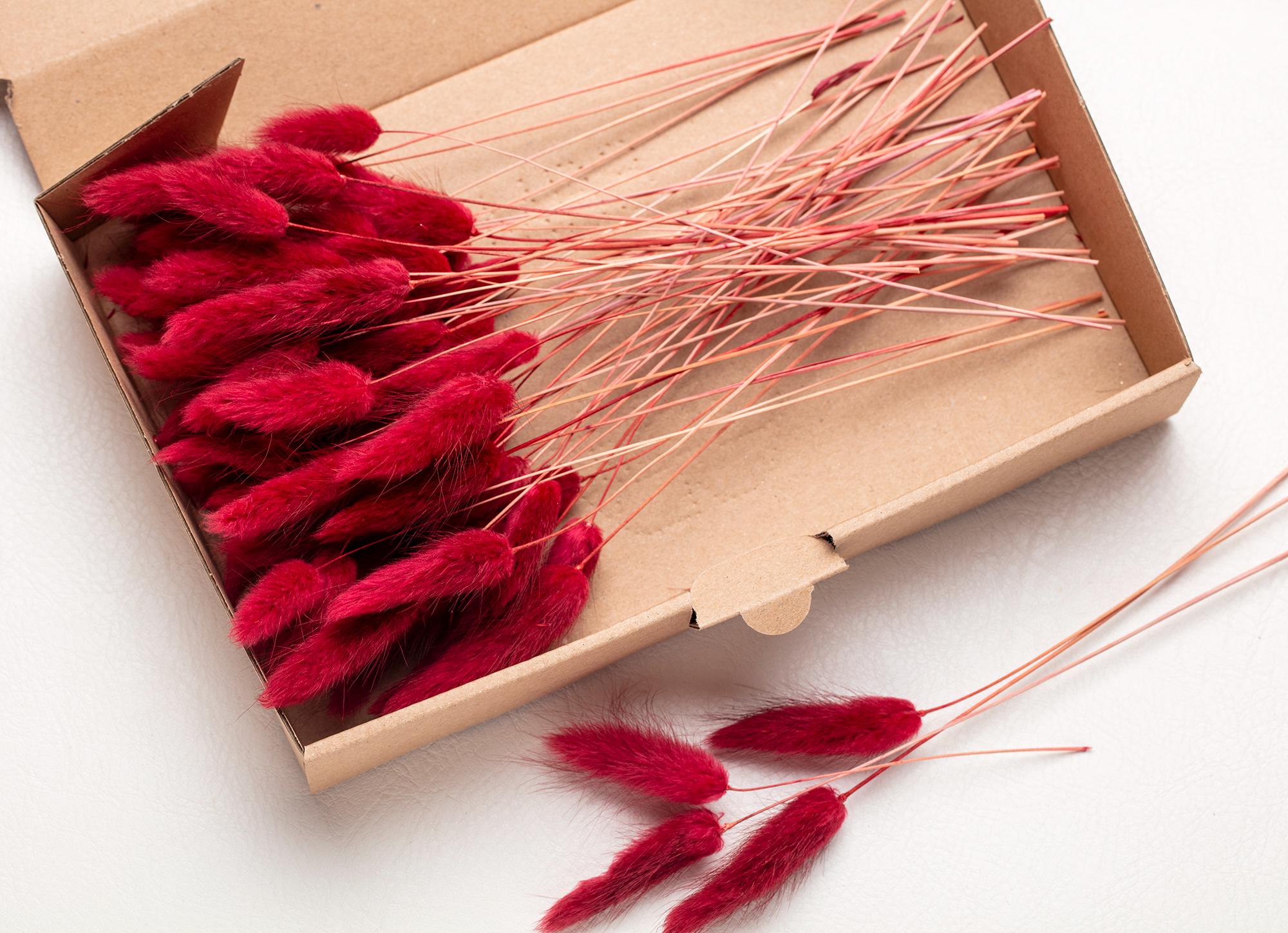 60 Brins D'herbe De Pampa Séchée (Queue De Lapin) - Longueur 43 Cm - Couleurs Marron Foncé Et Rouge - Décoration Mariage, Noël, Maison - DIY Bouquets, Couronnes
