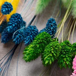 Colorful dried flowers, flower DIY Mix, DIY set, Flower Box, wedding DIY, dried flower bouquet, Bright rainbow, lagurus, Creative Projects, 画像 7