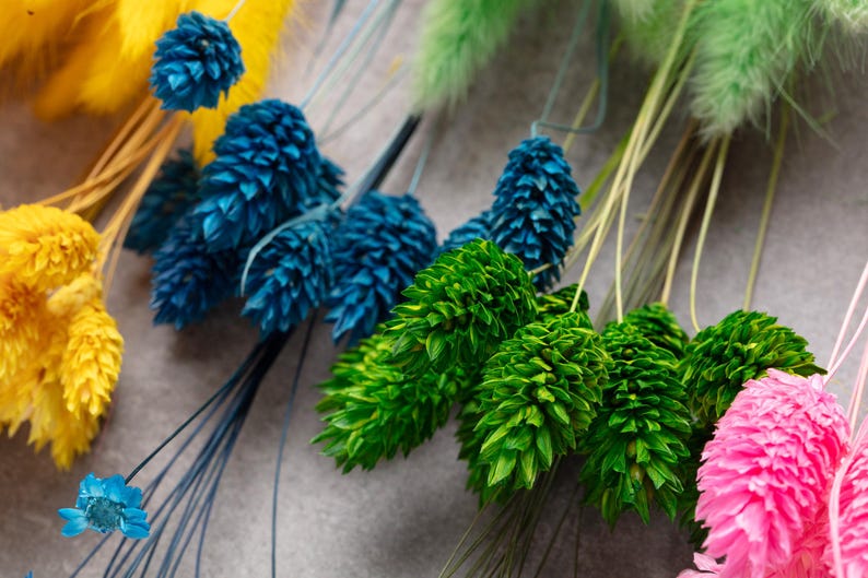 Colorful dried flowers, flower DIY Mix, DIY set, Flower Box, wedding DIY, dried flower bouquet, Bright rainbow, lagurus, Creative Projects, 画像 7