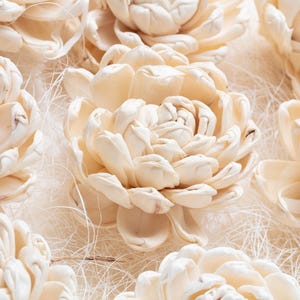 Houten Sola-bloemen, hoge kwaliteit, handgemaakte bedrade SOLA-houtbloem, grote volle bloei, rieten diffuser, gedroogd bloemdessin, bruiloftdecor,