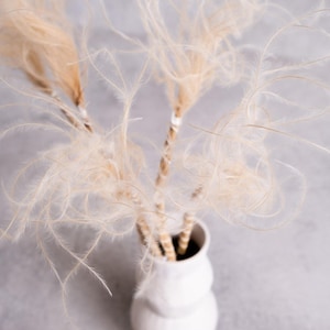 May include: A white ceramic vase with a rounded shape contains several stems of fluffy, light-brown feathers. The feathers have a delicate, airy appearance, and the vase sits on a light grey surface. The arrangement creates a soft, natural aesthetic.