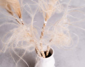 May include: A white, ceramic vase with a rounded shape holds several stems of fluffy, light-brown feathers. The feathers have a delicate, airy appearance, and the vase sits on a light gray surface. The arrangement creates a soft, natural aesthetic.