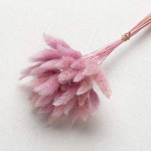 Bunny Tails,pink lila ccolor, Dried Lagurus, Dried Grass, Rabbit Tails, Decor, Bouquet, Natural Fluff, Gift, Home Decor, Dried Flowers, Boho