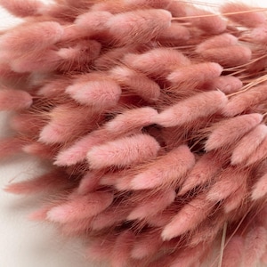 Peut inclure: Un bouquet d'herbe de queue de lapin séchée rose. Les tiges moelleuses sont douces et délicates, parfaites pour ajouter une touche de fantaisie à toute composition florale.