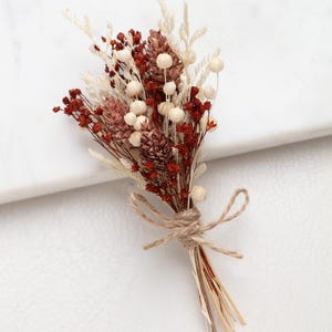 Könnte beinhalten: Ein kleiner Trockenblumenstrauß, mit Bindfaden gebunden. Das Arrangement zeigt eine Mischung aus Texturen und Farben, darunter Rot, Creme und Braun. Der Strauß besteht aus verschiedenen Trockenblumen und Samenkapseln und erzeugt eine rustikale und natürliche Ästhetik.