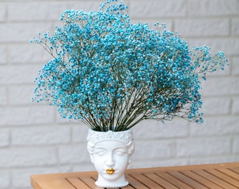 Gypsophila azul preservada, Aliento de bebé, gypsophila de colores, tallos reales, aliento de bebé natural, aliento de bebé, ramo de novia.