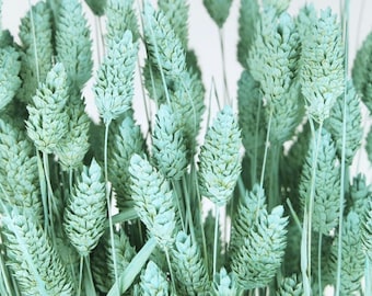 May include: A bunch of dried grass with light blue painted stems and seed heads.