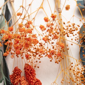 May include: Close-up of dried orange flowers and seed pods, with green and brown foliage. The image features a variety of textures and shapes, with the orange flowers being the focal point. The background is a soft white, creating a natural aesthetic.