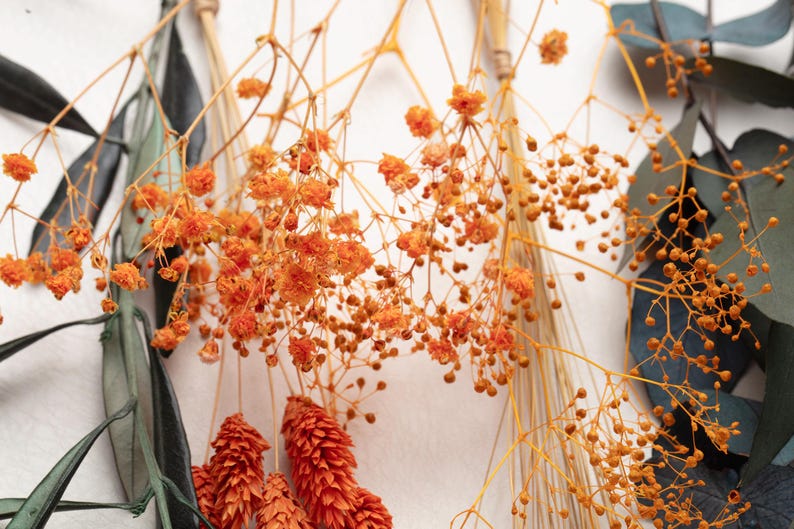 May include: Close-up of dried orange flowers and seed pods, with green and brown foliage. The image features a variety of textures and shapes, with the orange flowers being the focal point. The background is a soft white, creating a natural aesthetic.