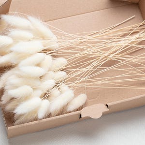 Lagurus, White Bunny Tails, Bleached Dried Lagurus, Dried Grass, Rabbit Tails Bunch, White Decor, White Bridal, Bouquet, Centerpiece,