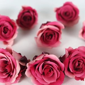 Peut inclure: Plusieurs roses roses, aux pétales multiples, disposées sur un fond blanc. Les roses sont en pleine floraison, révélant leur couleur riche et leurs textures délicates. Idéales pour les compositions florales ou la décoration.