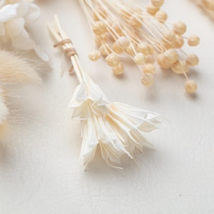 Puede incluir: Una colecci&oacute;n de elementos bot&aacute;nicos secos que incluye flores blancas similares al papel, hierba de cola de conejo de color beige esponjoso y peque&ntilde;as vainas de semillas de color tostado. Las flores blancas est&aacute;n atadas con una fibra natural fina.