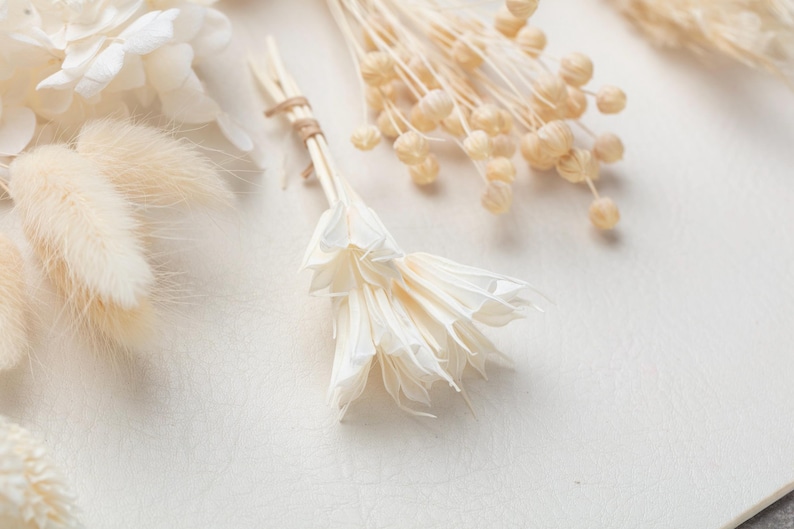 Puede incluir: Una colecci&oacute;n de elementos bot&aacute;nicos secos que incluye flores blancas similares al papel, hierba de cola de conejo de color beige esponjoso y peque&ntilde;as vainas de semillas de color tostado. Las flores blancas est&aacute;n atadas con una fibra natural fina.