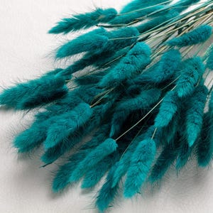 Op de afbeelding: Een bos gedroogd konijnenstaartgras in turquoise. Het gras is zacht en pluizig, en de stelen zijn lang en dun.