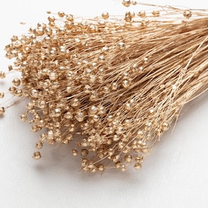 Dried gold Linum bunch, Dried flax bunch, gold color, Natural dried flowers, flachs gold, Flower arrangement, Home decor, DIY