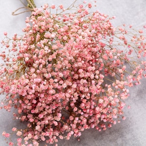 Baby breath, pink preserved gypsophila, 15 real stems, natural baby&#39;s breath, baby breath, baby breath, dry wedding bouquet.