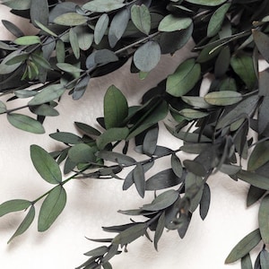 Eucalyptus Parvifolia preserved, dark green, flower bunch, DIY arrangement, wedding anniversary decoration, 100% biodegradable natural,