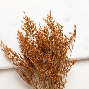Peut inclure: Gros plan sur des fleurs de statice séchées, de couleur brun doré. Les tiges délicates et les minuscules grappes de fleurs sont disposées sur un fond blanc. L'image met en valeur la texture et la couleur naturelles de l'arrangement floral séché.