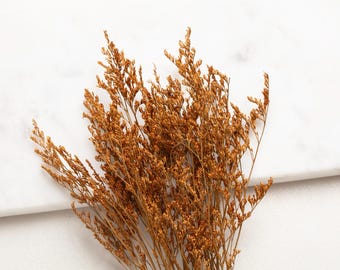 Könnte beinhalten: Nahaufnahme von getrockneten Statice-Blüten in einem warmen Goldbraun. Die zarten Stiele und winzigen Blütenstände sind vor einem weißen Hintergrund angeordnet. Das Bild zeigt die natürliche Textur und Farbe des getrockneten Blumenarrangements.