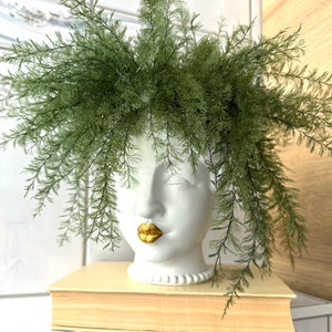 Helecho de aire Moos, planta de maceta real preservada, planta eterna de oficina, centro de mesa verde, planta de aire de hoja perenne, planta que no necesita riego.