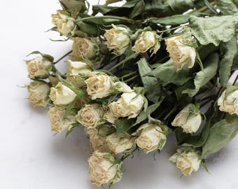 Rosa essiccata, fiore per resina, gioielli, rose bianche essiccate, piccole composizioni floreali, piante essiccate, resina, fiori di resina essiccati,