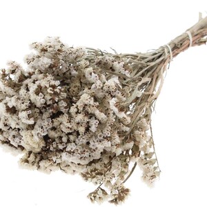 May include: A dried bouquet of small, off-white statice flowers with light brown centres. The stems are gathered together and secured with a thin, white string, creating a bundle of delicate, papery blossoms with a natural, rustic appearance.