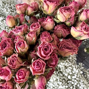 Dried rose flower for Resin, wedding decor, Jewelry, Dry Red Roses, small flower Arrangments Dried Plants Resin dried resin flowers