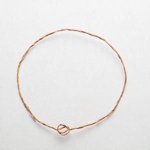 Peut inclure: Une couronne circulaire en ficelle torsadée marron, centrée sur un fond blanc. La ficelle est nouée en bas, formant un élément décoratif. La couronne est de conception simple et rustique.
