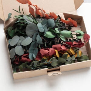 Eucalyptus preserved set, DIY flower arrangement, wedding anniversary decoration, 100% biodegradable natural, Cinerea, Stabilized stems