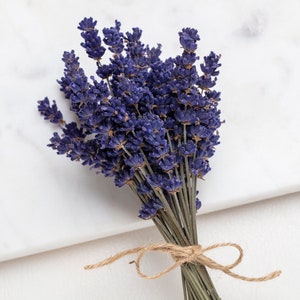 Lavender dried, Dried flower set, Decoration, Wedding, Home decor, Autumn decoration, Advent, Wreath, Lavender dried in a bunch
