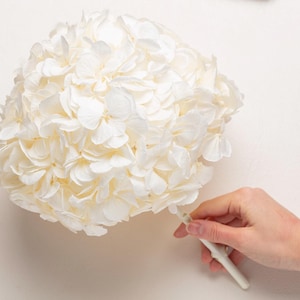 White Preserved hydrangea head, Diameter 20-25cm, High Quality, large head, bridal flower, home decor, wedding flowers, Natural Arrangement