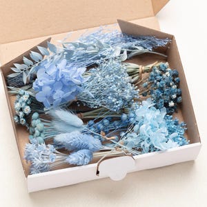 Set di fiori blu secchi naturali, mix fai da te, set fai da te, per artigianato, fioriera, fai da te blu per matrimoni, decorazioni floreali, lagurus, progetti creativi