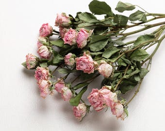 Rosa rosa essiccata, fiore per resina, gioielli, rose bianche essiccate, piccole composizioni floreali, piante essiccate, fiori di resina essiccati,