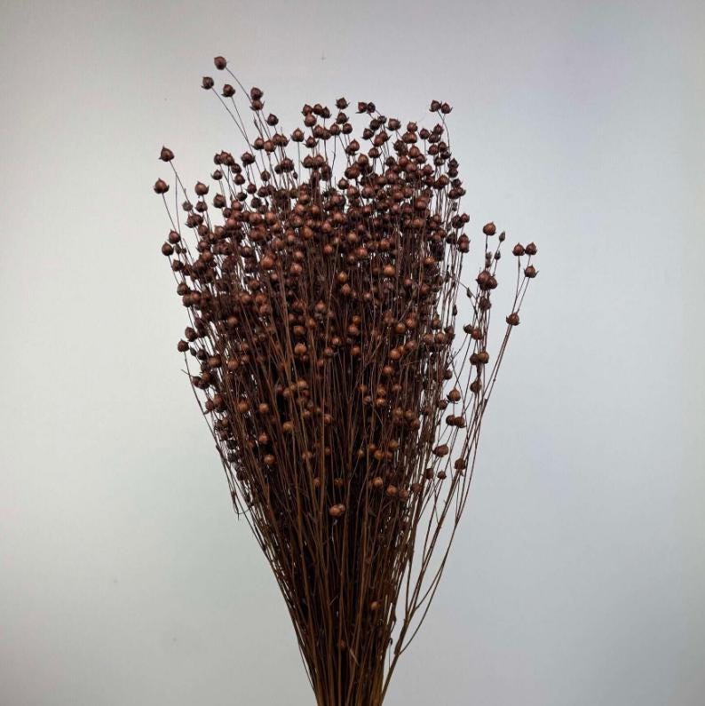 Trockenblumen xxl