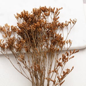 Peut inclure: Gros plan sur des fleurs séchées brunes avec des tiges fines et de petits bourgeons. Les fleurs sont disposées en bouquet, avec certaines tiges s'étendant vers l'extérieur. Le fond est une surface en marbre blanc.