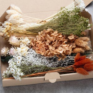 Könnte beinhalten: Ein Karton gefüllt mit einer Auswahl an Trockenblumen in Weiß-, Beige-, Braun- und Orangetönen. Die Anordnung umfasst Hortensien, Weizen und andere strukturierte florale Elemente, ideal für Bastelarbeiten oder die Inneneinrichtung.