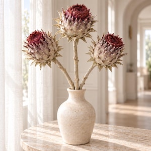 Può includere: Un vaso in ceramica beige con corpo arrotondato e collo stretto contiene tre steli di carciofo essiccati. Ogni stelo presenta una grande infiorescenza a forma di globo con centri bordeaux scuro e petali esterni pallidi, appuntiti e squamosi.