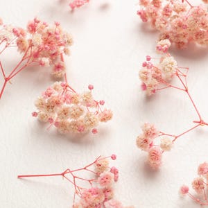 Baby breath, preserved flowers,pink preserved gypsophila, natural baby's breath stems, baby breath, baby breath, dry wedding Bouquet