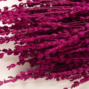 Preserved Lavender, magenta color, wedding flowers, home decor, Lavanda, dried flowers, preserved lavandin, Lavandula Getrocknet,