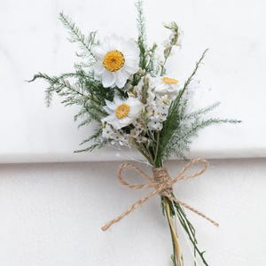 Könnte beinhalten: Ein kleiner Strauß aus getrockneten Blumen, mit weißen Gänseblümchen mit gelben Zentren und zarten weißen Blüten. Das Arrangement ist mit grünem Laub akzentuiert und mit Bindfaden gebunden, wodurch eine rustikale und natürliche Ästhetik entsteht.